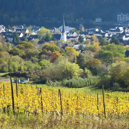 In Mit Kleinem Garten By Interhome Traben-Trarbach